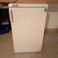 frigo piccolo Rex 