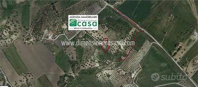 Rif.TA53|Terreno agricolo Caltanissetta