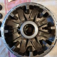 variatore malossi tmax 530-560 