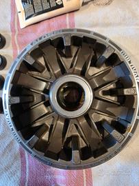 variatore malossi tmax 530-560 