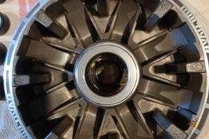 variatore malossi tmax 530-560 