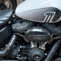 Motore e forcelle Harley Softail 114