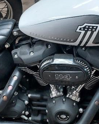 Motore e forcelle Harley Softail 114