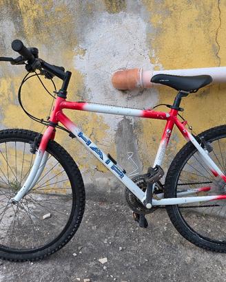 Mountain bike 