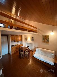 Delizioso appartamento in montagna