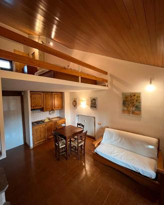 Delizioso appartamento in montagna