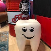 Dente molare sgabello