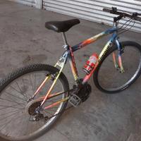 Mountain bike
