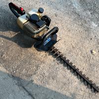 Tagliasiepi sandri garden