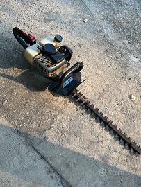 Tagliasiepi sandri garden