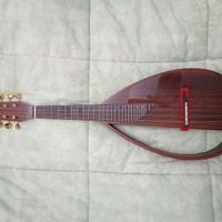 Silent mandolin.