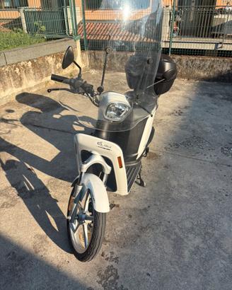 Scoter Askoll