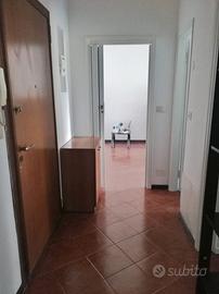 Bilocale in afffitto