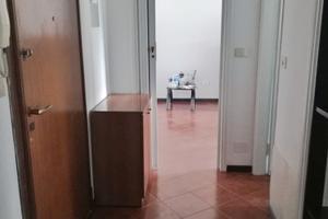 Bilocale in afffitto