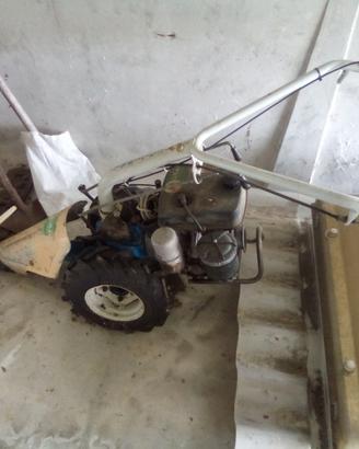 TAGLIAERBA COLIBRI poco usato