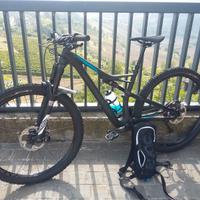 Specialized Camber carbon 29