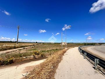 TER. AGRICOLO A SAN SEVERO