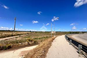 TER. AGRICOLO A SAN SEVERO