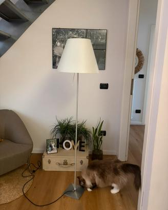 Lampada Luceplan Costanza