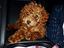 Immagine 5