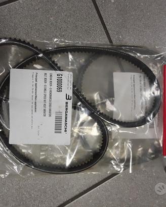 G1000069 cinghia Piaggio Si Boxer cod.124593