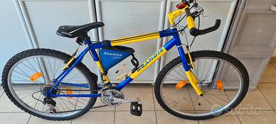 Mountain bike