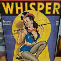 Due quadri copertina vintage di rivista americana.