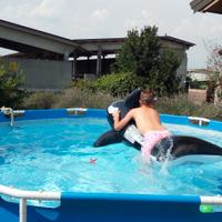 Piscina Bestway rotonda 322 x 122h completa