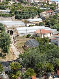 Vivaio con terreni agricoli,casolare e deposito