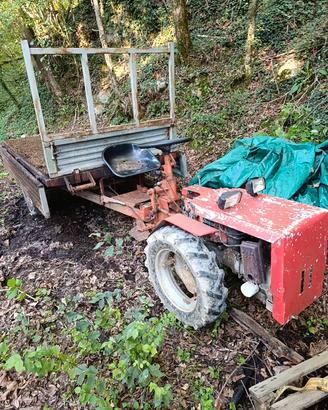 motoagricola con motore carraro