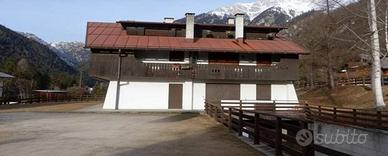 Immobile in asta di 51 m² con 3 locali a Auronzo d