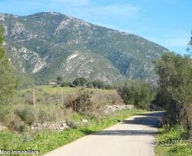 Iglesias - terreno agricolo pianeggiante