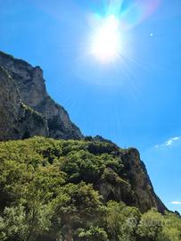 Assistenza domiciliare a ore