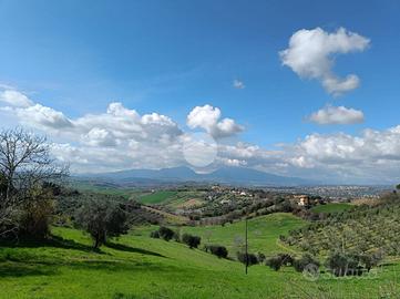 TER. RESIDENZIALE A TORTORETO