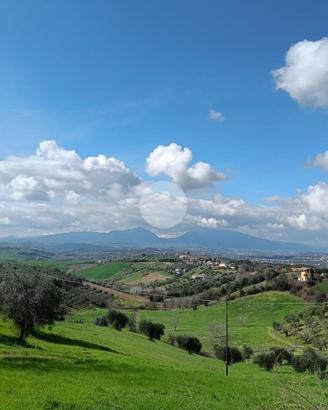 TER. RESIDENZIALE A TORTORETO