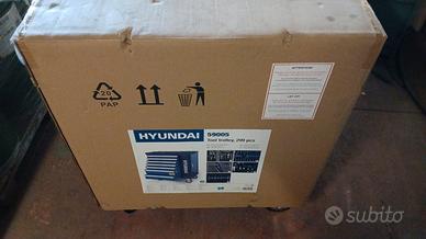 Carrello Portattrezzi Hyundai attrezzato