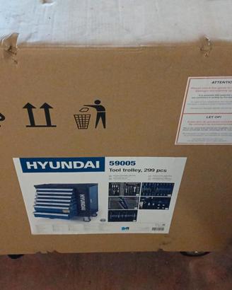 Carrello Portattrezzi Hyundai attrezzato