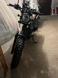 Dominator cafe racer