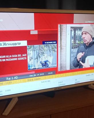 Tv 24 pollici led Majestic