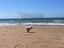 Immagine 14
