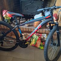 2 bici nuovi