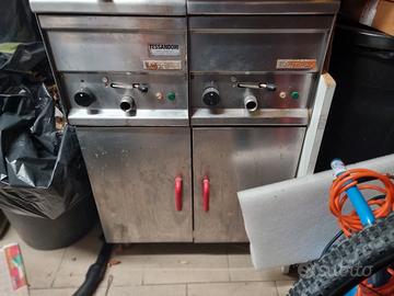 Friggitrice elettrica da ristorante a 2 vasche