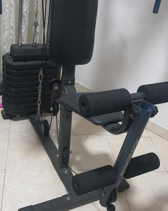 palestra 