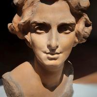 Busto scultura arte opera statua design collezione