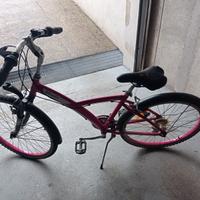 Bici da donna