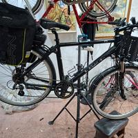 pedalata assistita