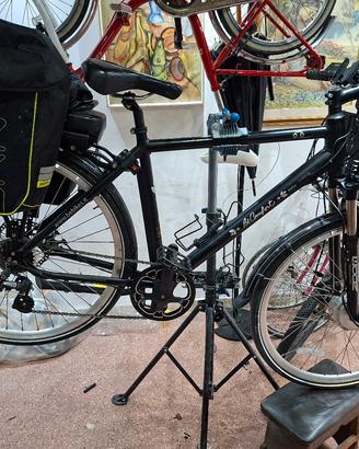 pedalata assistita