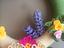 Immagine 5