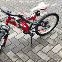 bici biammortizzata 20 pollici