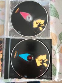 Ligabue giro d'Italia 